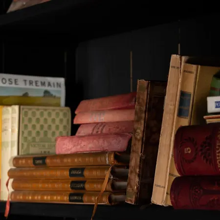 Hotel Lilybloom Le Havre