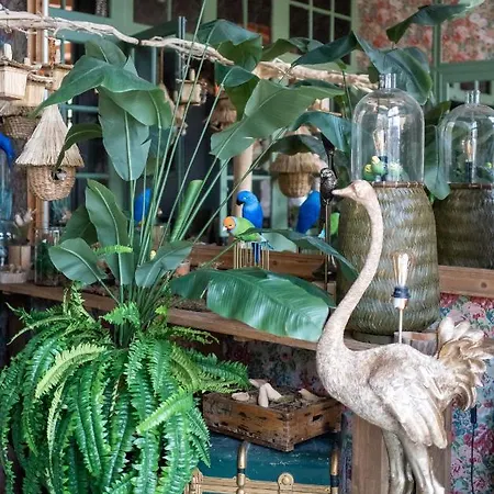 Hotel Lilybloom Le Havre